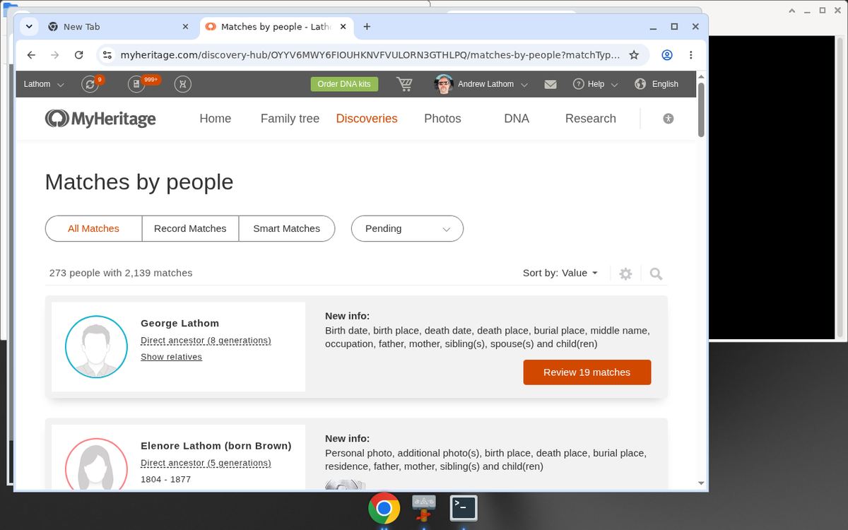 MyHeritage discoveries hub — 273 people / 2139 matches