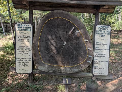 Mississippi Petrified Forest · Tue Sep 8