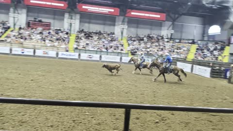 Team roping