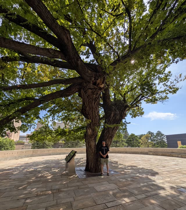 survivor-tree · Mon Sep 21